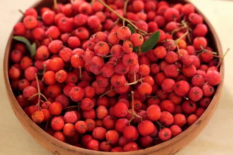 تصویر 3 از زرشک خوشه ای تازه دستچین شده